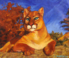 Mountain Lion