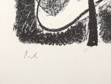 Visage à travers les feuilles