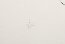 Journal d'un graveur V