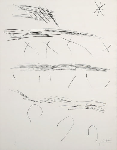 Journal d'un graveur VII