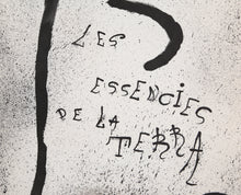 Les Essencies de la Terra 2