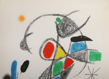 Maravillas con Variaciones Acrosticas en el jardin de Miro (Number 20)