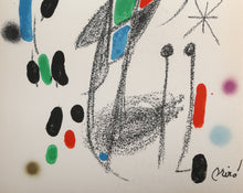 Maravillas con Variaciones Acrosticas en el jardin de Miro (Number 20)