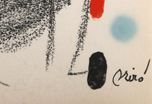 Maravillas con Variaciones Acrosticas en el jardin de Miro (Number 20)