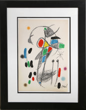 Maravillas con Variaciones Acrosticas en el jardin de Miro (Number 20)