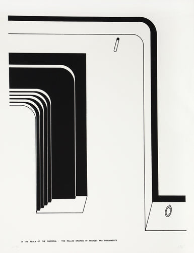 The Walled Grounds of Parade and Punishments from In the Realm of the Carceral