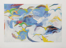 Gulls
