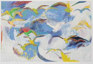 Gulls