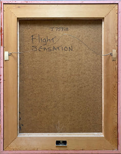Flight Sensation