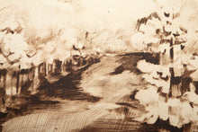 The Sun Has Given The Wealth To The Land