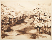 The Sun Has Given The Wealth To The Land