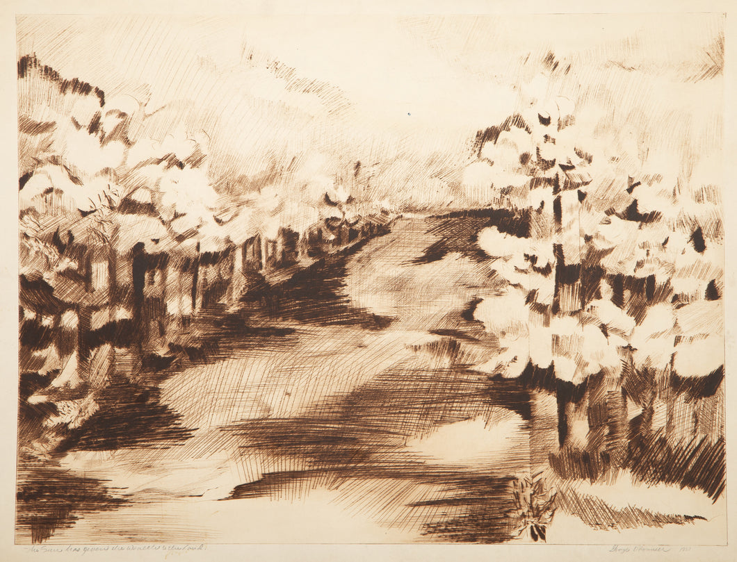 The Sun Has Given The Wealth To The Land