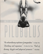 Pilobolus