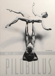 Pilobolus