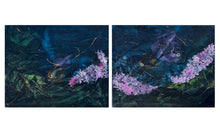 Ocean Lovers-Angel Fish 2
