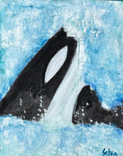 Orcas & Glaciers (1-4, 17-20)