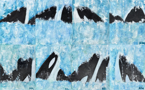 Orcas & Glaciers (1-4, 17-20)