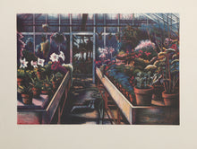 Evening Approaches In The Greenhouse