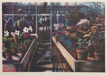Evening Approaches In The Greenhouse