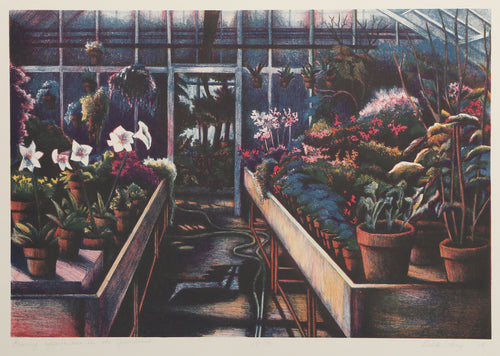 Evening Approaches In The Greenhouse