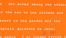 Aguas Baldias (Orange)