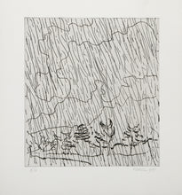 Rain Clouds