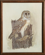 Owl