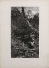 Twilight In The Wood