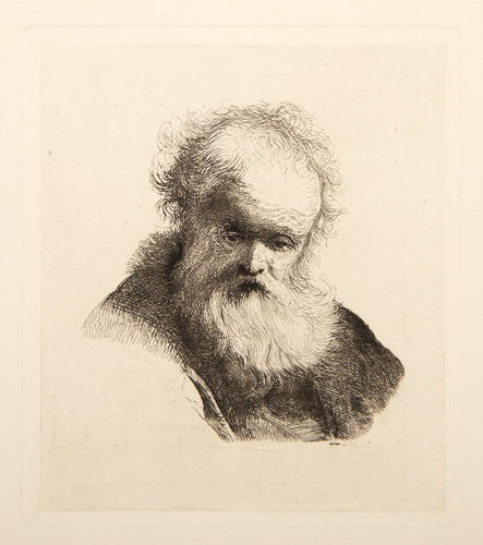 Bust of an Old Man with Flowing Beard and White Sleeve