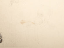 Victor Hugo, de Face State Nine