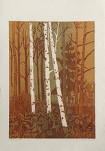 Stand of Aspen