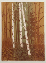 Stand of Aspen