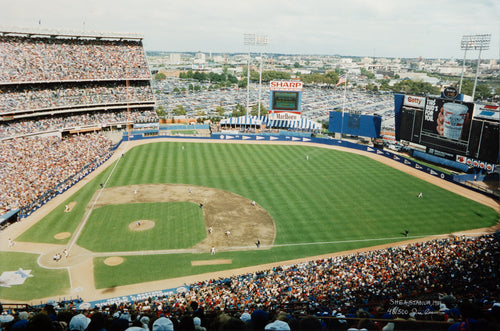 Shea Stadium