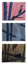 Vignettes