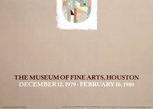 Houston Museum of Fine Arts Poster