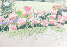 Pink Flowers