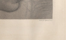 Heliodorus