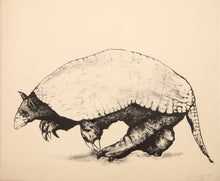 Armadillo