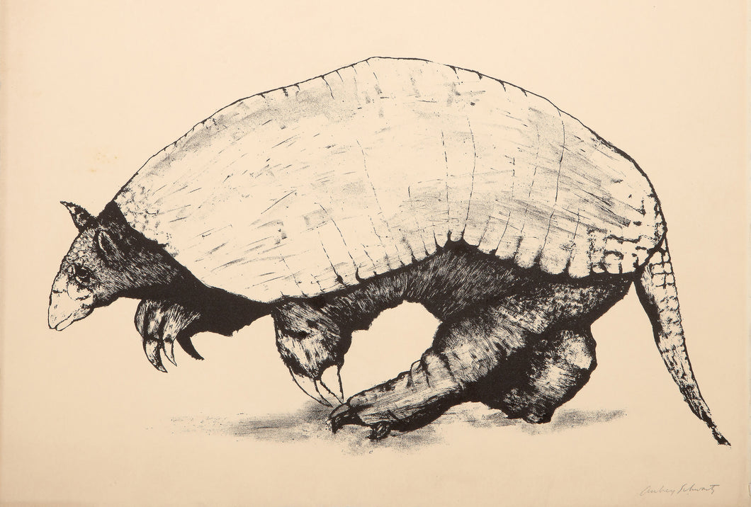 Armadillo