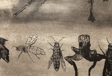 Fly and Smaller Insects from A Bestiary