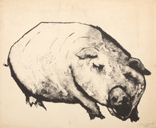 Pig