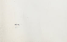 Out of Poems Object and Flowers 3 (The 1940s)