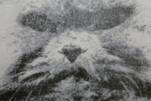 Power and Beauty No 1