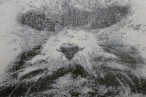 Power and Beauty No 1