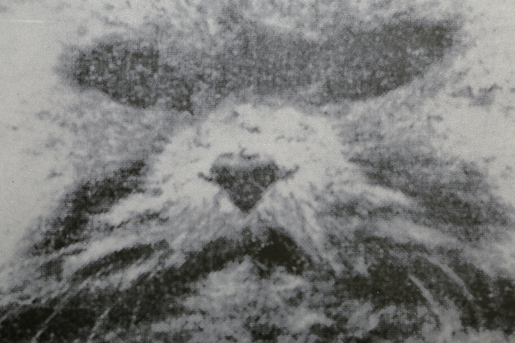 Power and Beauty No 1