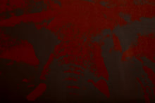 Power and Beauty No. 5