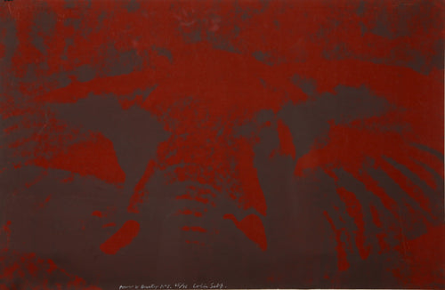 Power and Beauty No. 5