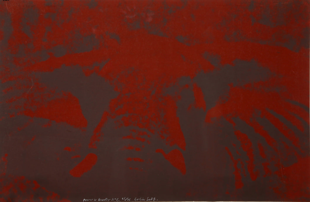 Power and Beauty No. 5