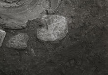 Ashkelon II