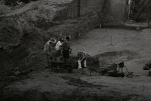 Ashkelon VII